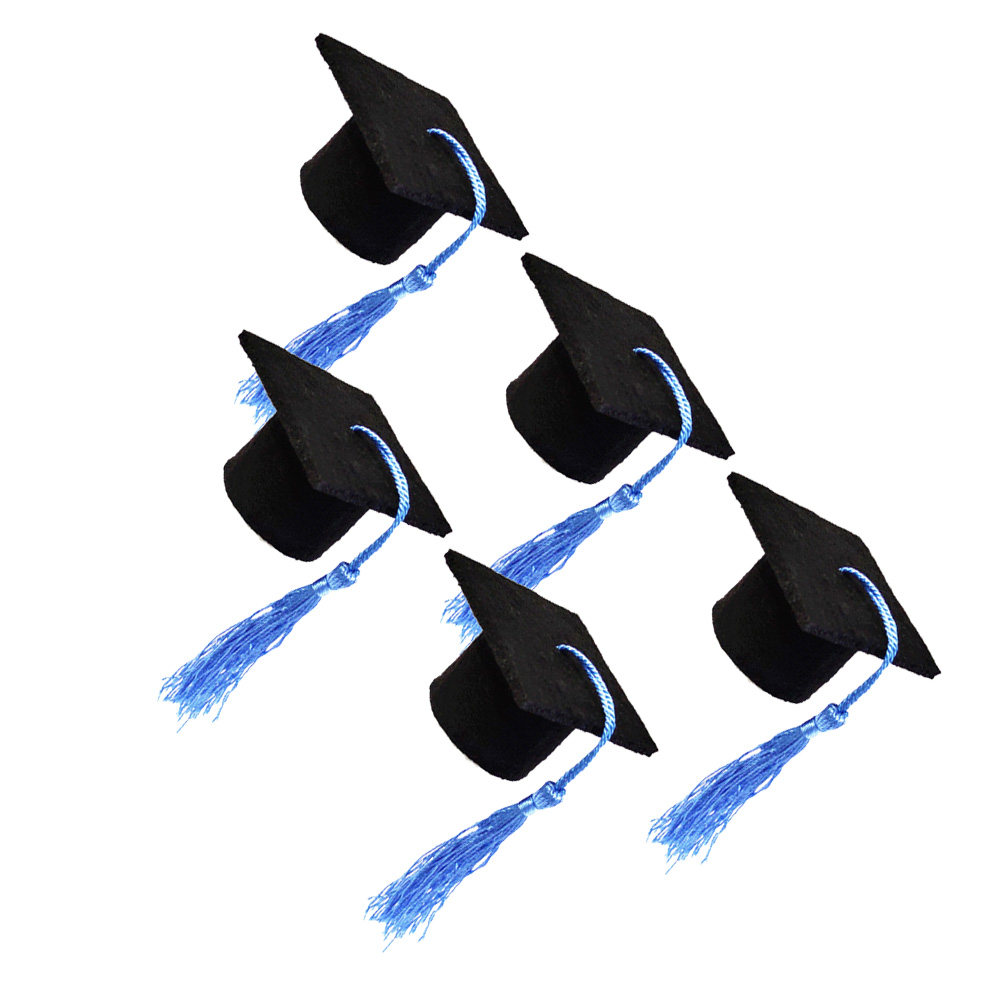 5Pcs Doctoral Cover Light Blue - Wine Beer Festival review and price