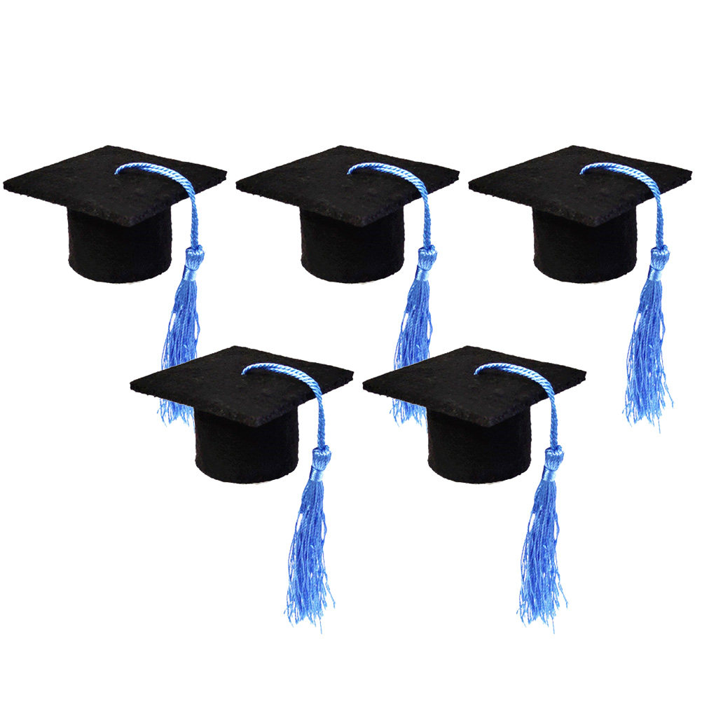5Pcs Doctoral Cover Light Blue - Wine Beer Festival review and price