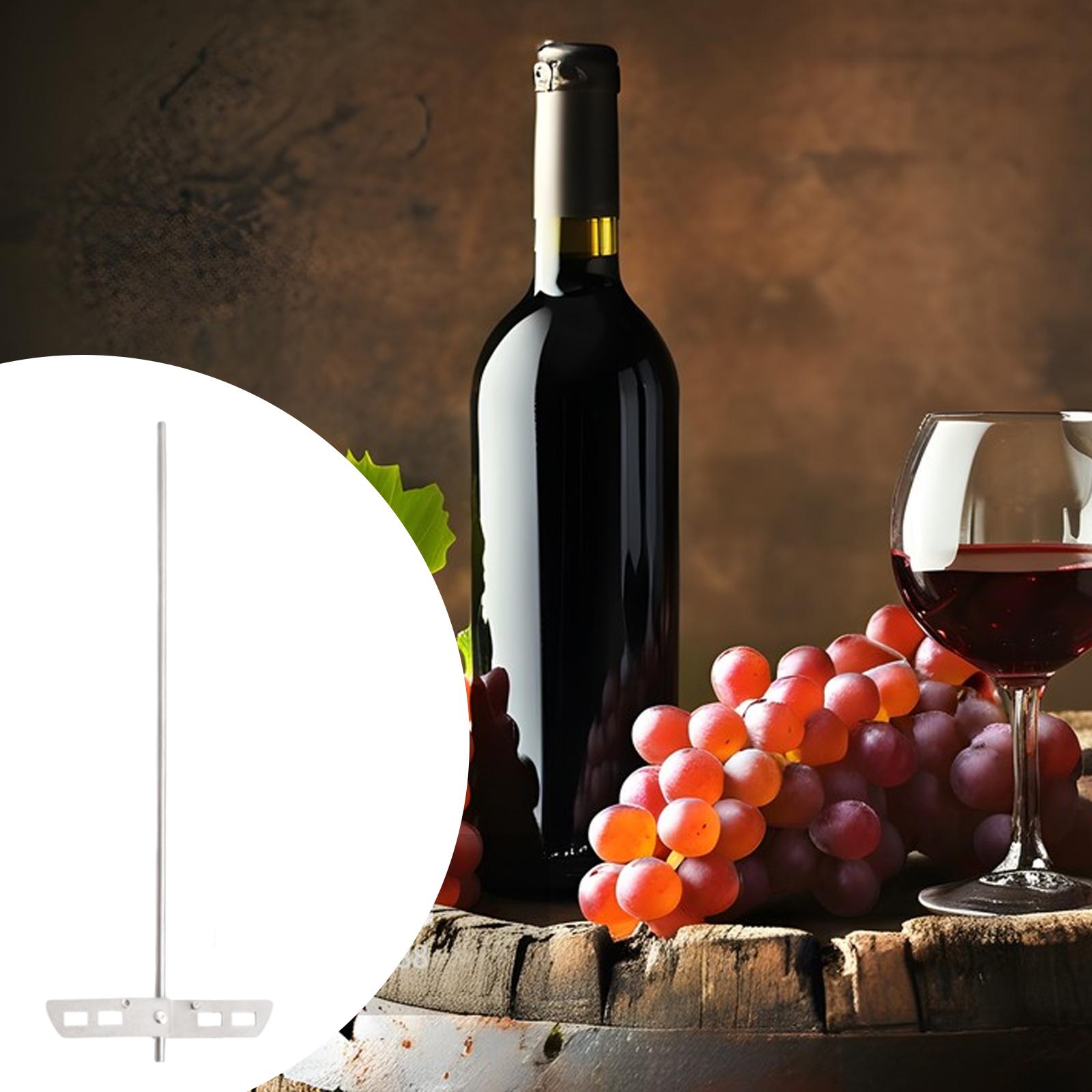 High Efficiency Degassing Whip - Wine Beer Mix review and price